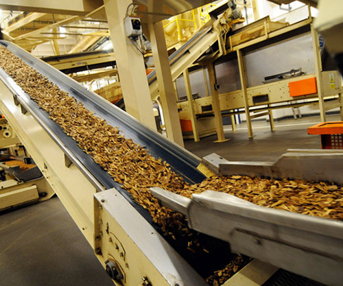 Oil resistant conveyor belt conveying oily food items